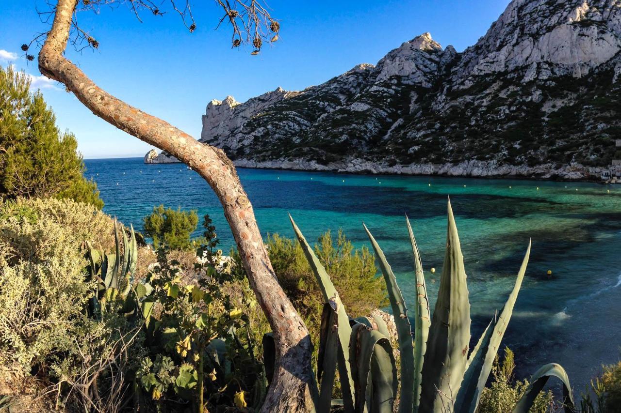Apartment Le Cabanon Des Calanques *